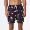 Pink Flamingo