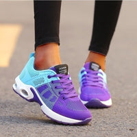 Turquoise/Purple
